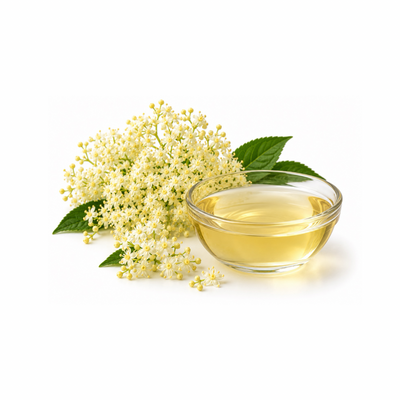 Eldeflower Extract