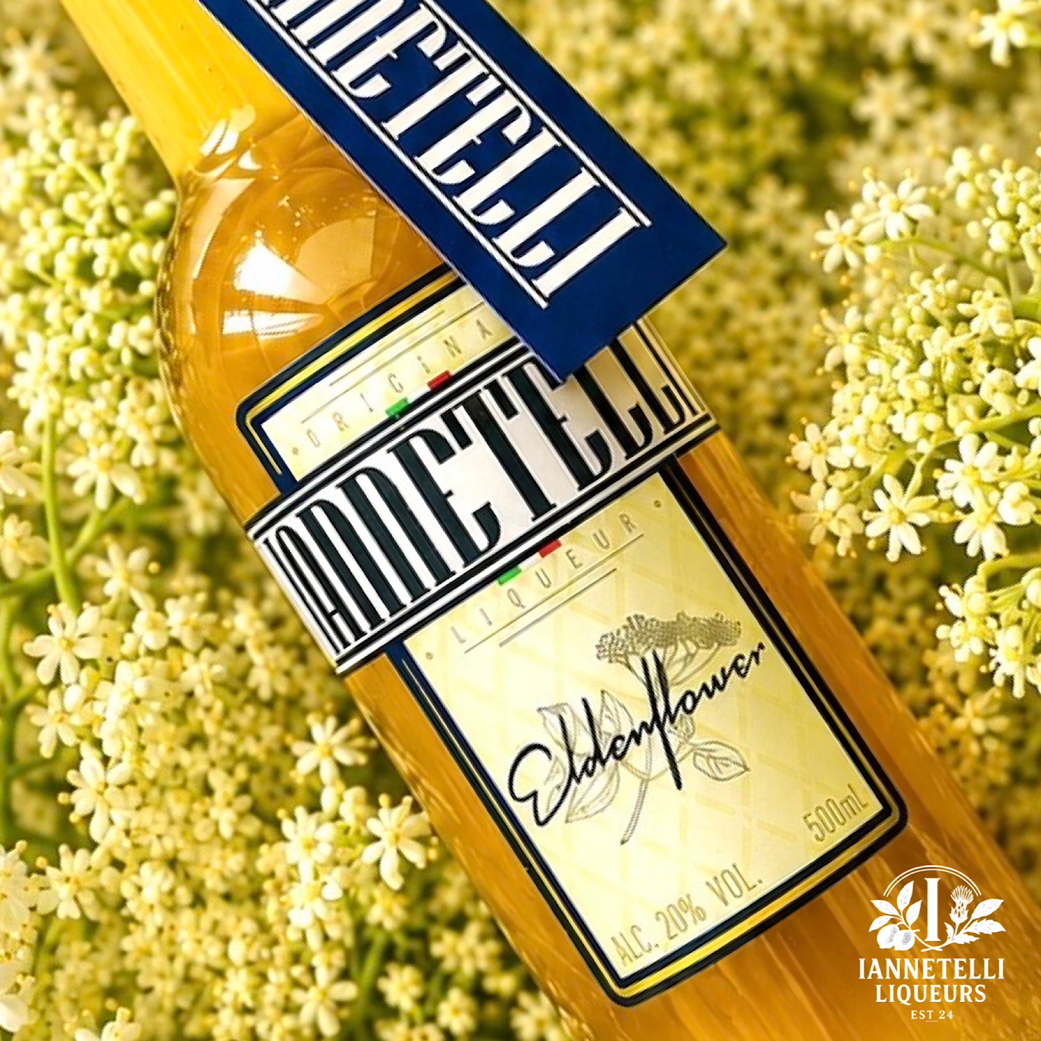 Iannetelli - Italian Elderflower