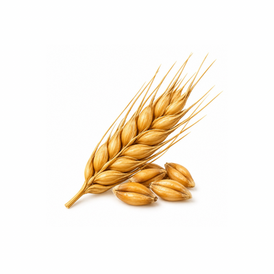 Neutral Grain Alcohol